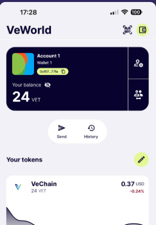 VeWorld Wallet